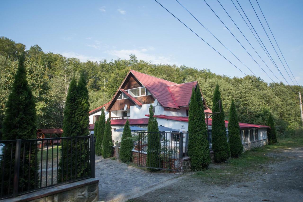 Hotel Popas Balea Rau Cîrţişoara Exterior foto